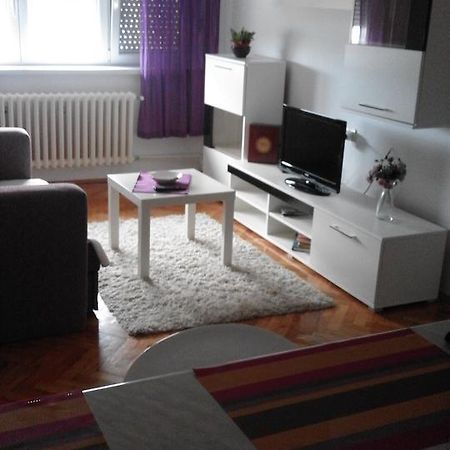 Tami Apartment Novi Sad Bagian luar foto