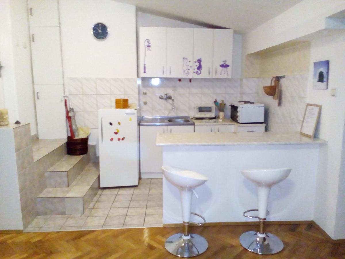 Tami Apartment Novi Sad Bagian luar foto