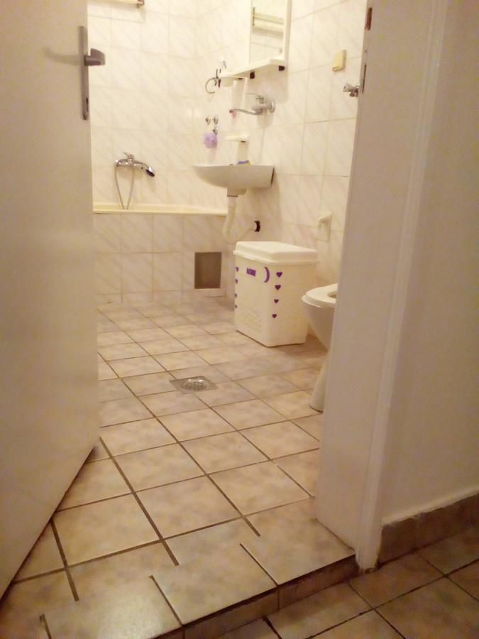 Tami Apartment Novi Sad Bagian luar foto