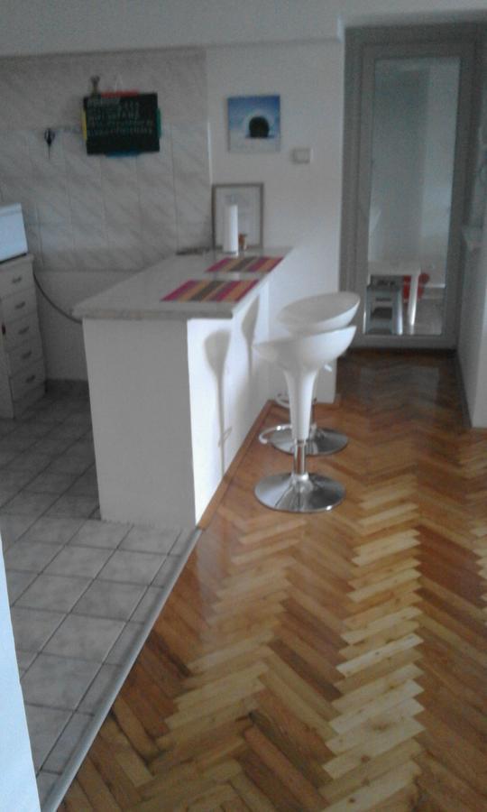 Tami Apartment Novi Sad Bagian luar foto
